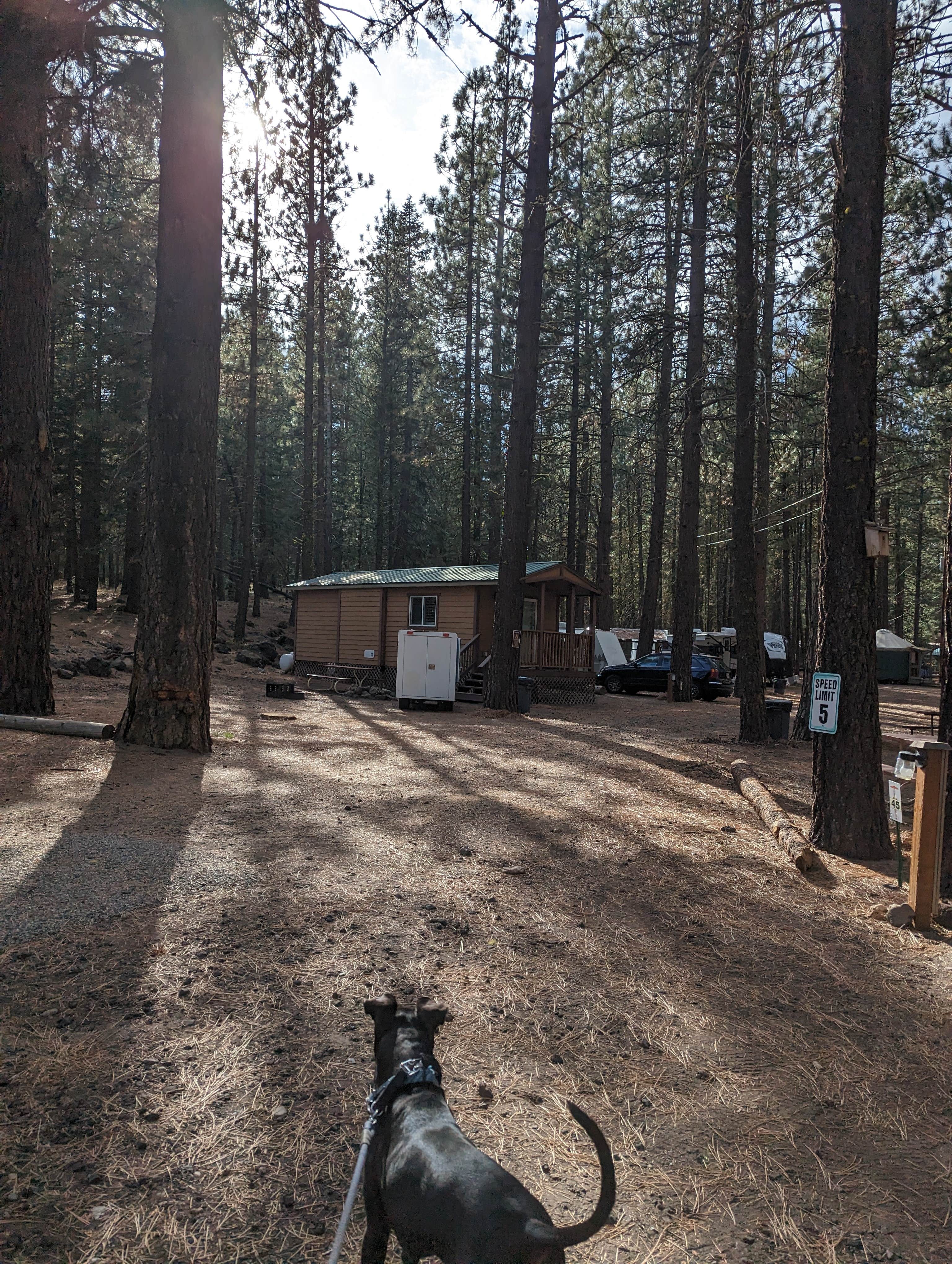 Camper-submitted photo at Hat Creek Resort & RV Park near Lassen Volcanic National Park