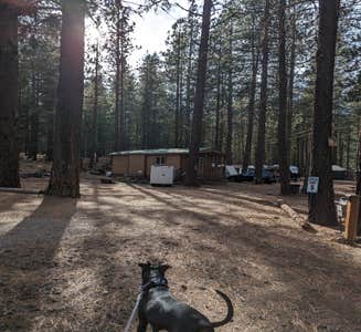 Camper-submitted photo from Sycamore Grove (red Bluff) Campground
