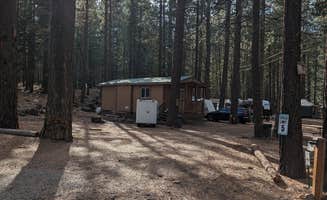 Kristi D.'s photo of camping with pets at Hat Creek Resort & RV Park near Mill Creek, CA