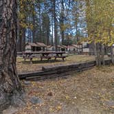 Review photo of Hat Creek Resort & RV Park by Kristi D., October 19, 2023