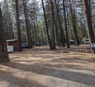 Camper-submitted photo from Sycamore Grove (red Bluff) Campground