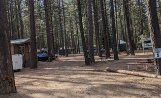 Kristi D.'s photo of a cabin at Hat Creek Resort & RV Park near Shasta Lake, CA
