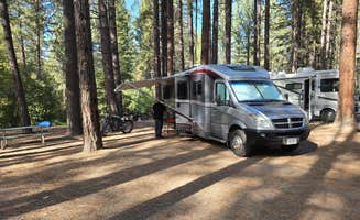 Amanda V.'s photo at Hat Creek Resort & RV Park near Cassel, CA