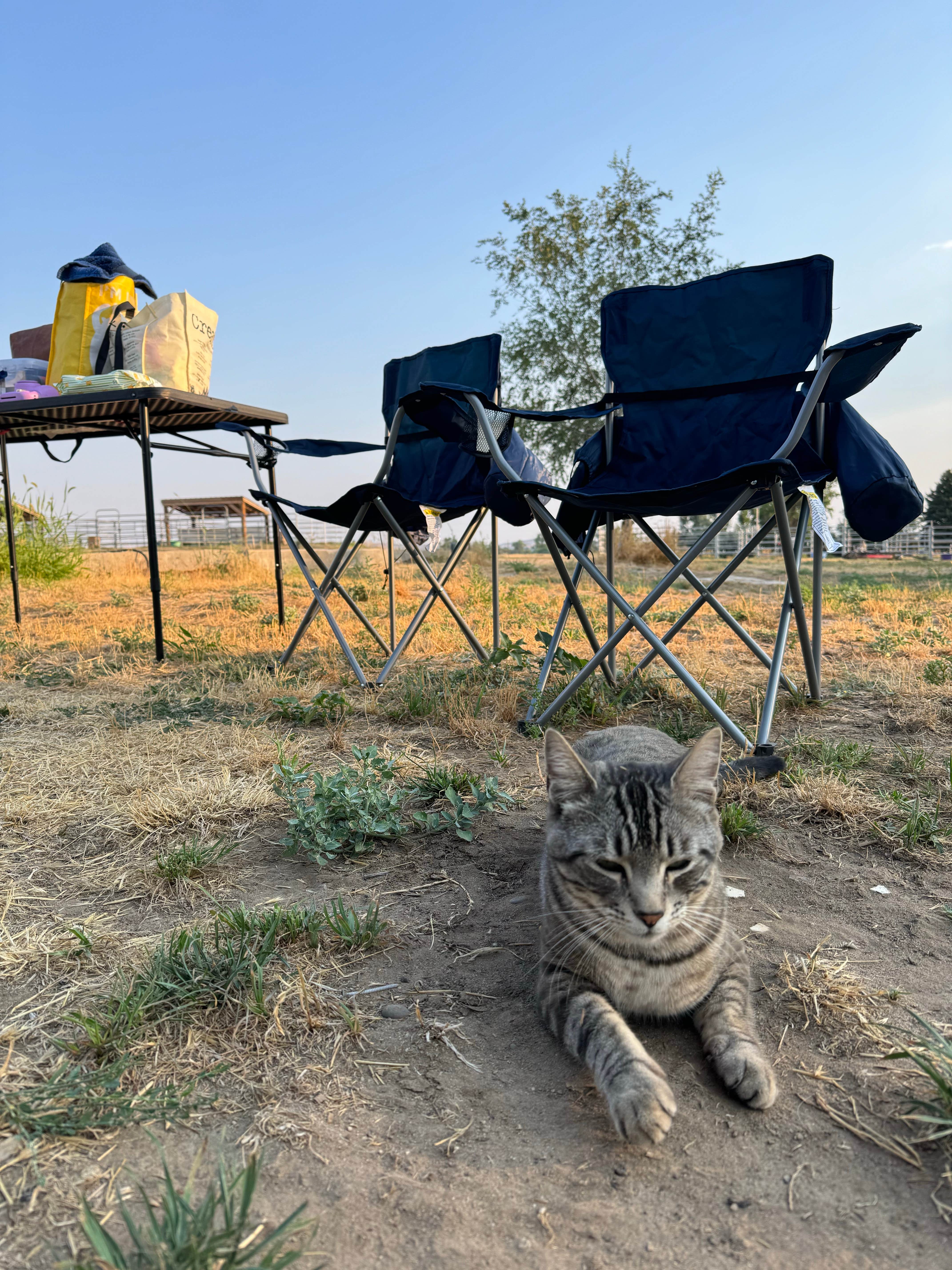 Camper-submitted photo at Hat J Equine motel and RV near Huntington, OR