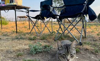 Cass G.'s photo of camping with pets at Hat J Equine motel and RV near Adrian, OR