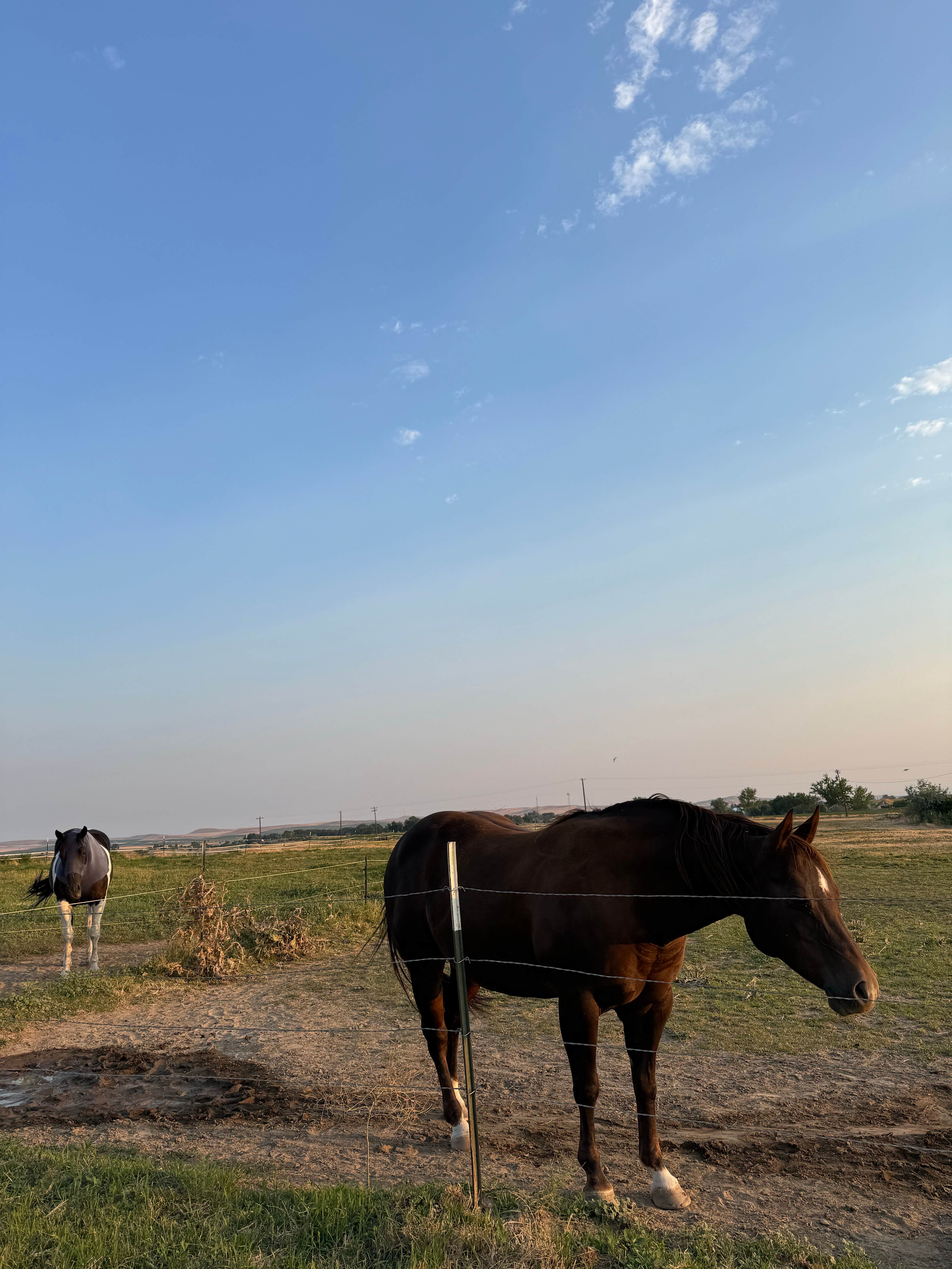 Camper-submitted photo at Hat J Equine motel and RV near Huntington, OR