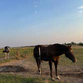 Review photo of Hat J Equine motel and RV by Cass G., July 19, 2024