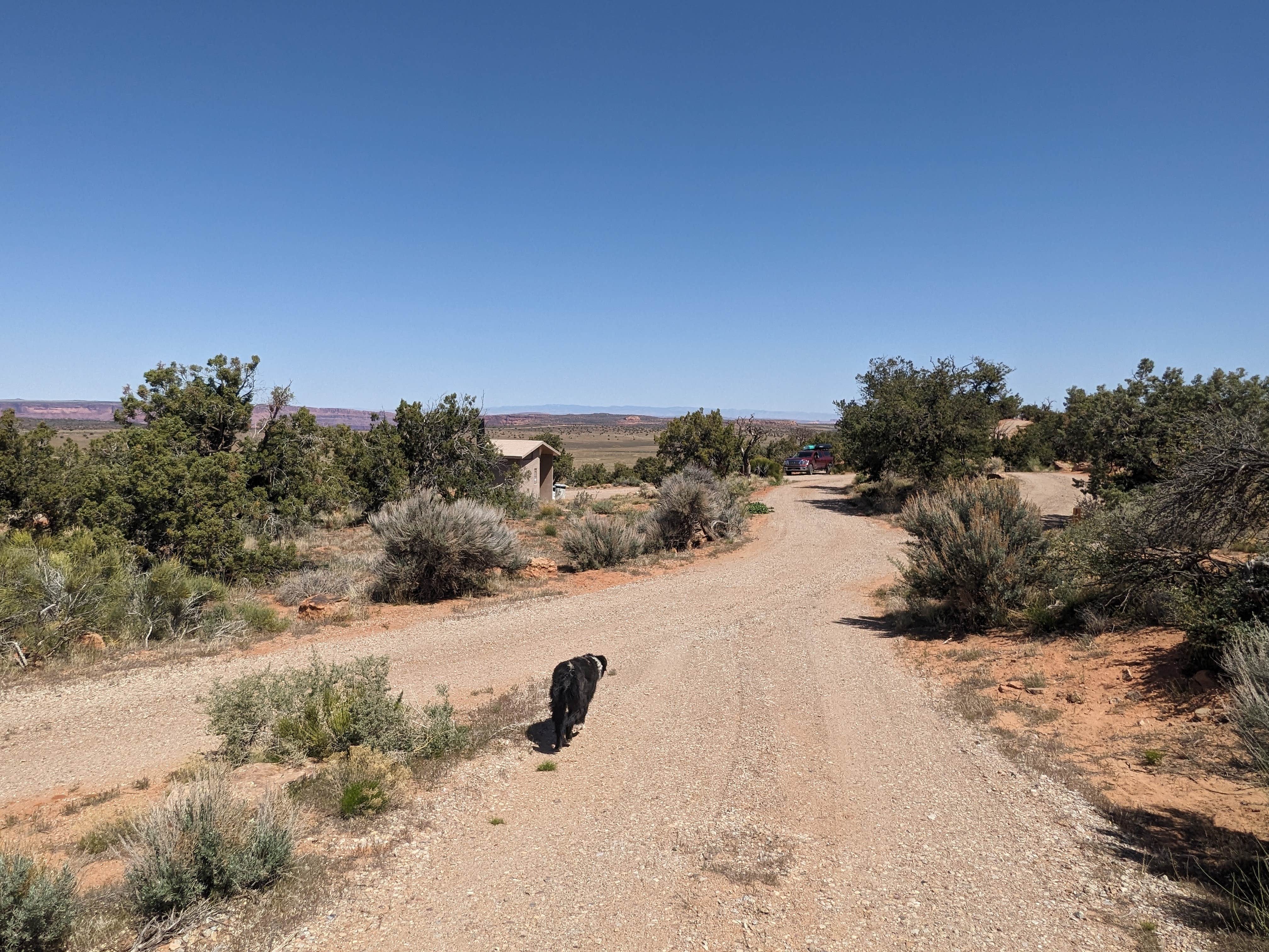 Greg L.'s photo of camping with pets at Hatch Point BLM Campground near Canyonlands National Park
