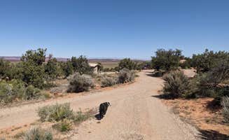 Greg L.'s photo of camping with pets at Hatch Point BLM Campground near Canyonlands National Park