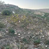 Review photo of Havasu BLM Dispersed by Teresa A., February 2, 2026
