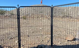 Imerie T.'s photo of camping with pets at Havasu BLM Dispersed near Parker Dam, CA