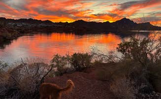 Hannah S.'s photo of camping with pets at Havasu Springs Resort near Parker Dam, CA