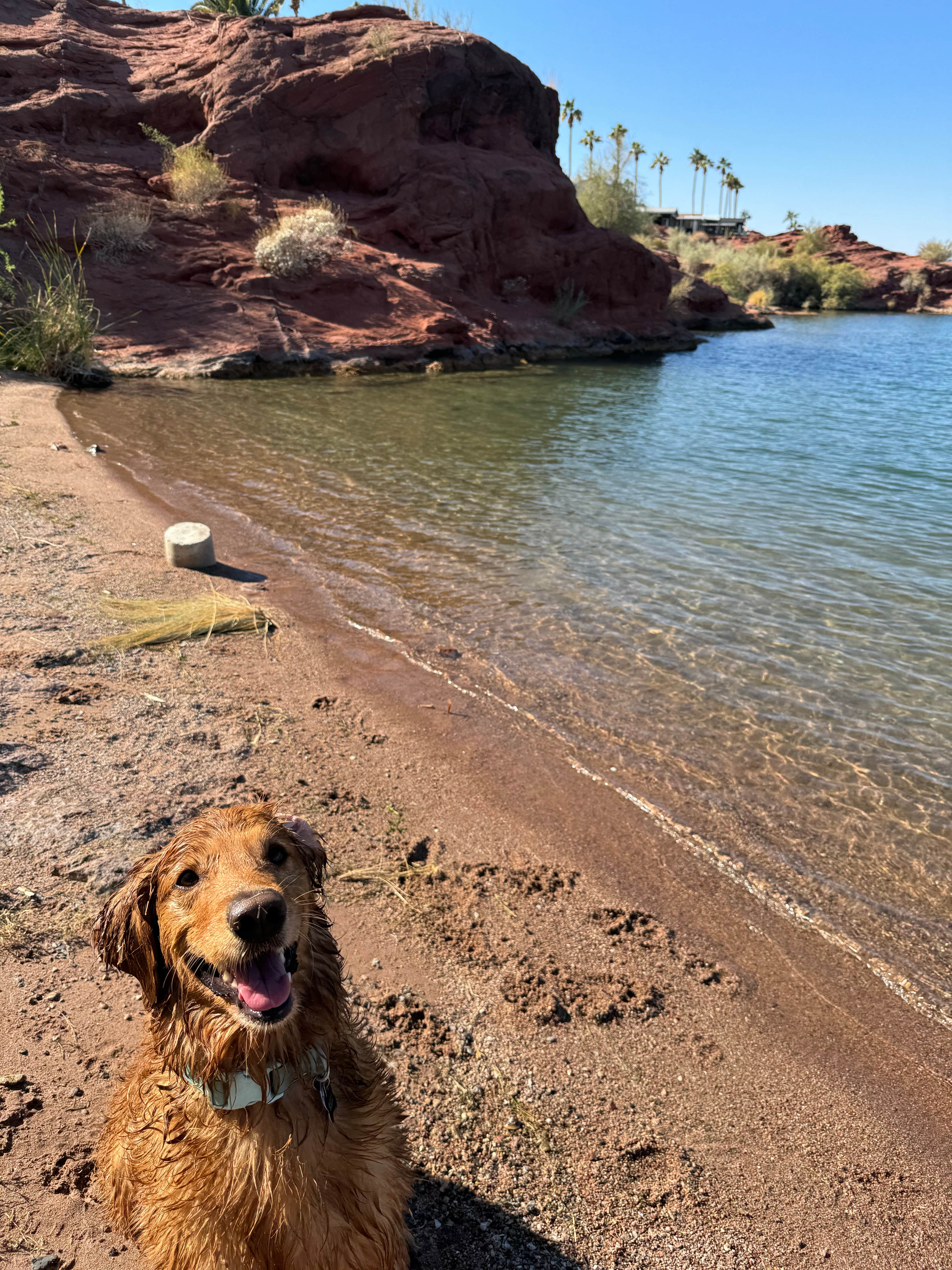 Camper-submitted photo at Havasu Springs Resort near Parker Dam, CA