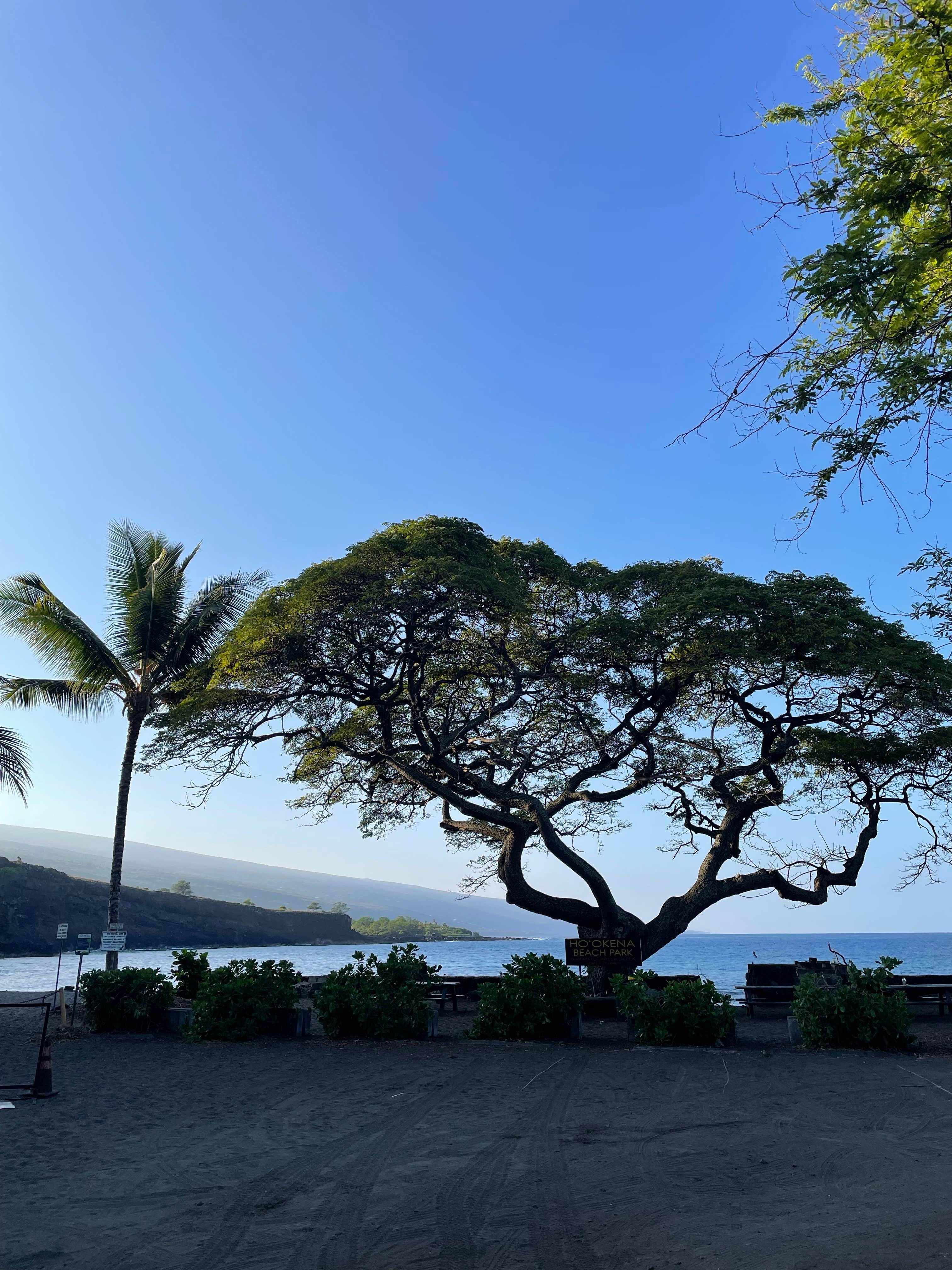 Camper-submitted photo at Ho'okena Beach Park near Kailua, HI