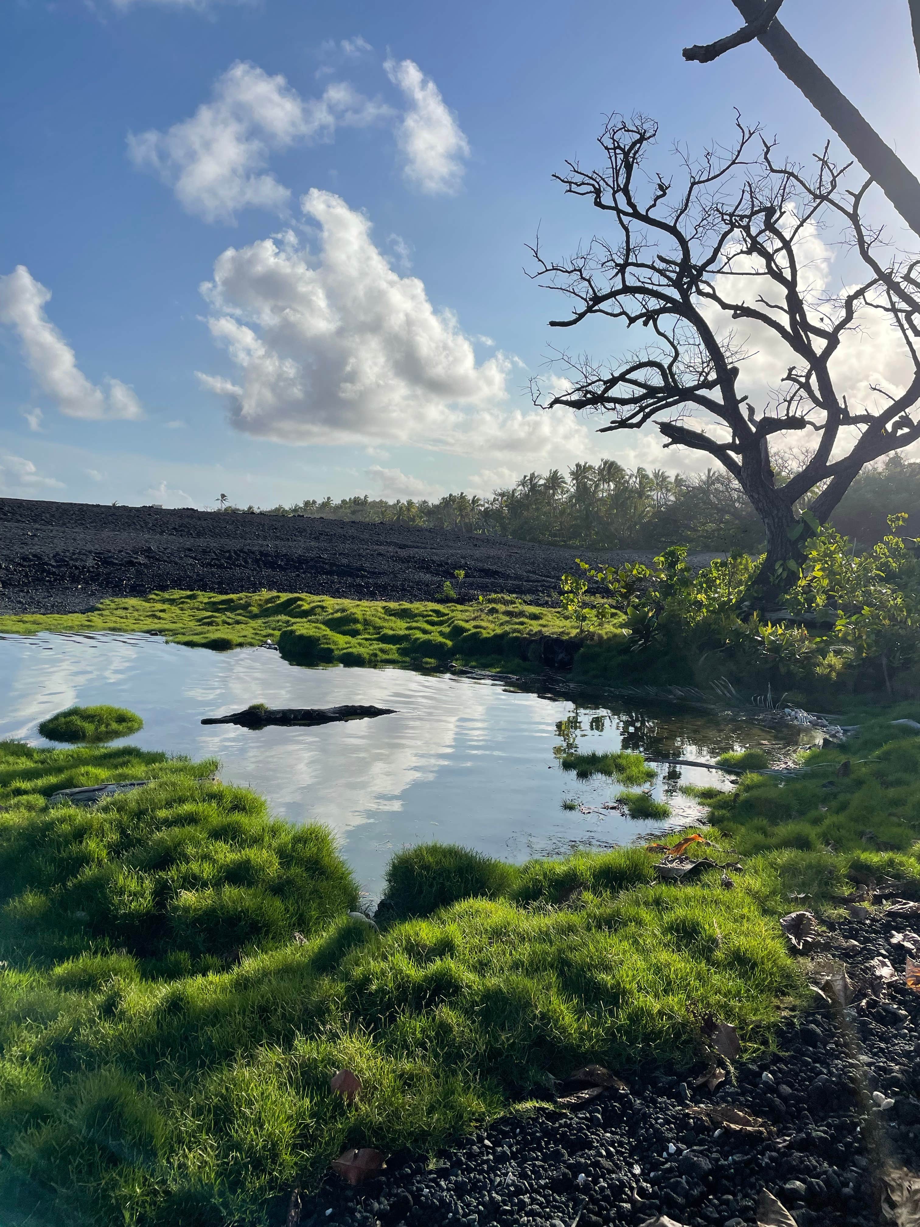 Isaac Hale Beach Park - PERMANENTLY CLOSED