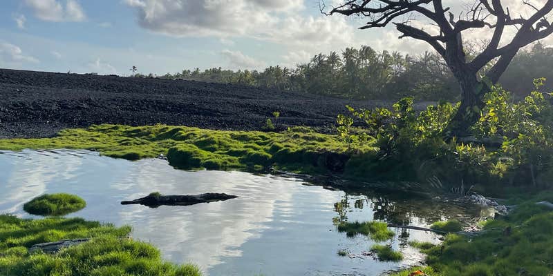 Camper submitted image from Isaac Hale Beach Park - PERMANENTLY CLOSED