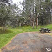 Review photo of Nāmakanipaio Campground — Hawai'i Volcanoes National Park by Jennifer H., February 23, 2024