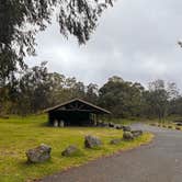 Review photo of Nāmakanipaio Campground — Hawai'i Volcanoes National Park by Jennifer H., February 23, 2024