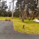 Review photo of Nāmakanipaio Campground — Hawai'i Volcanoes National Park by Jennifer H., February 23, 2024