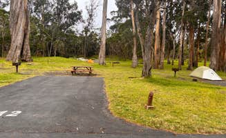 Jennifer H.'s photo at Nāmakanipaio Campground — Hawai'i Volcanoes National Park near Hilo, HI