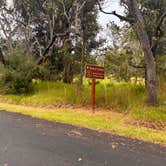 Review photo of Nāmakanipaio Campground — Hawai'i Volcanoes National Park by Jennifer H., February 23, 2024