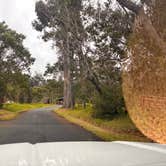 Review photo of Nāmakanipaio Campground — Hawai'i Volcanoes National Park by Jennifer H., February 23, 2024