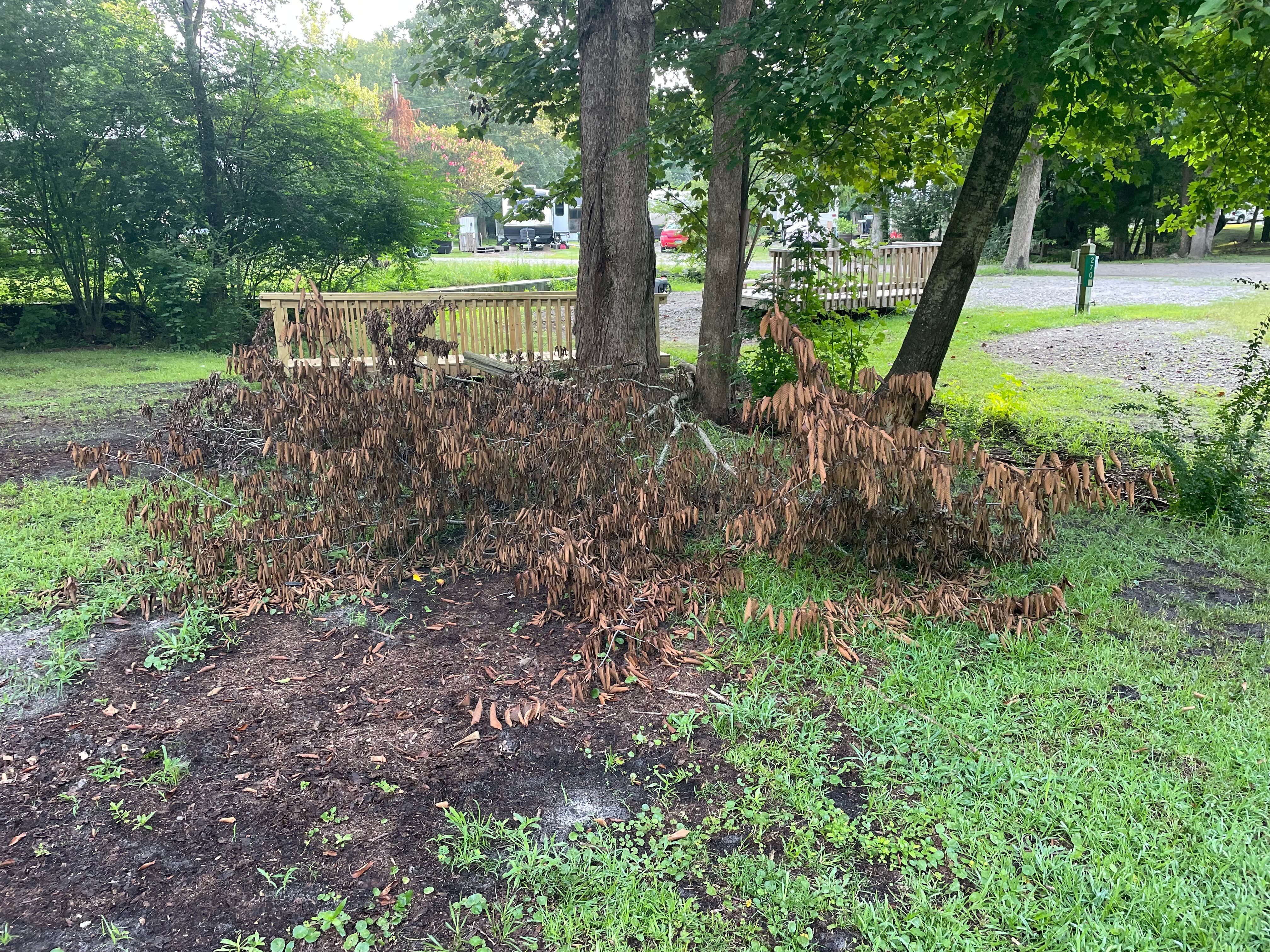 Camper-submitted photo at Hawkins Creek Campground near Jacksonville, NC