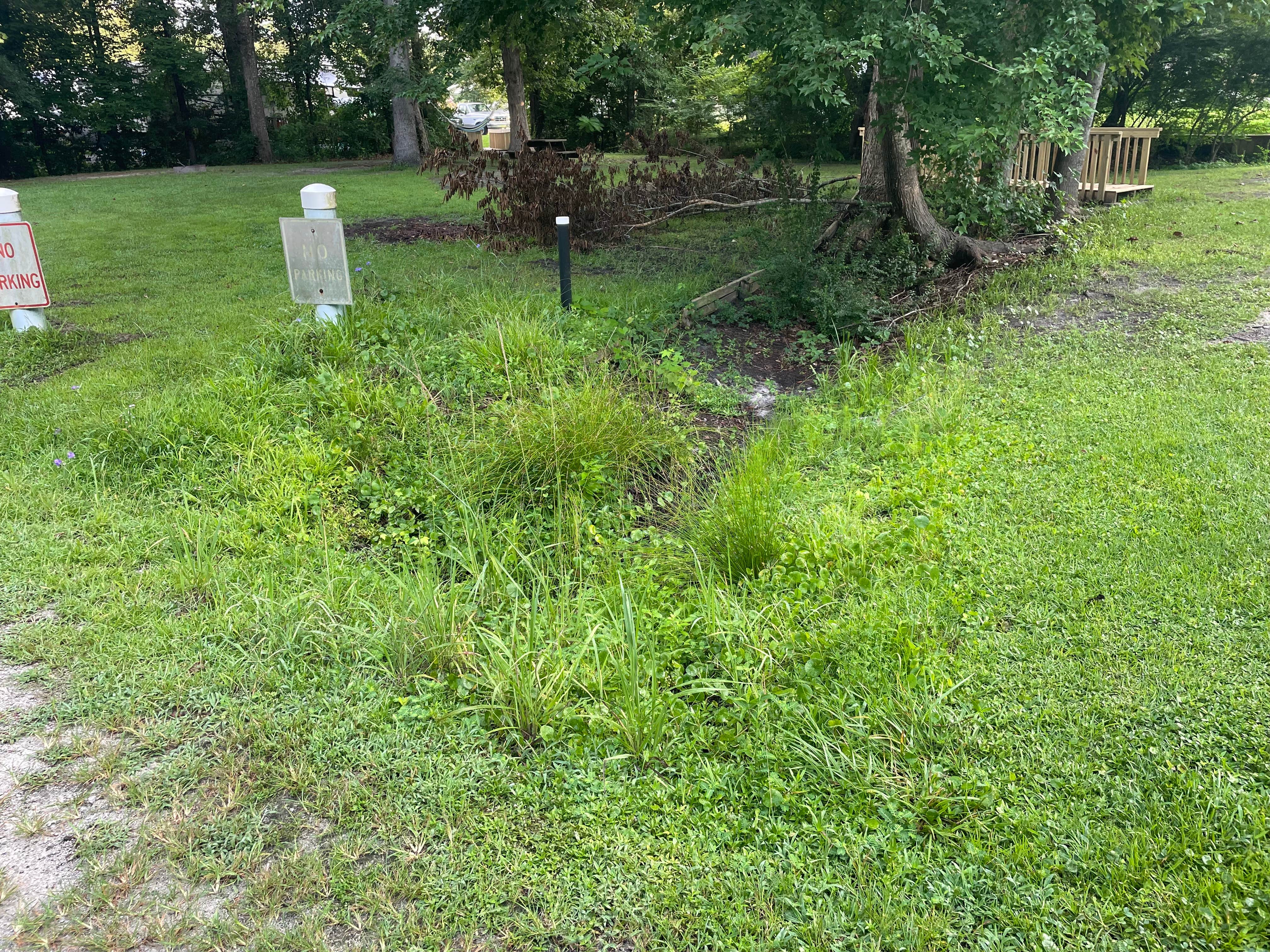 Camper submitted image from Hawkins Creek Campground - 1