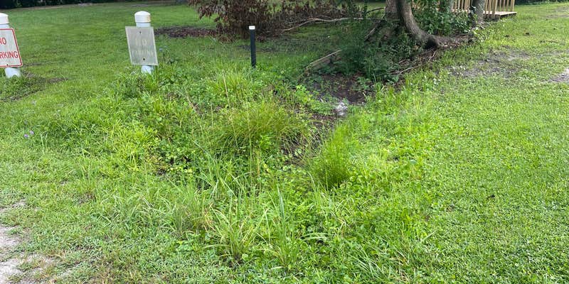 Camper submitted image from Hawkins Creek Campground