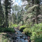 Review photo of Hayden Creek Roadside Camp by Nicole B., July 20, 2024