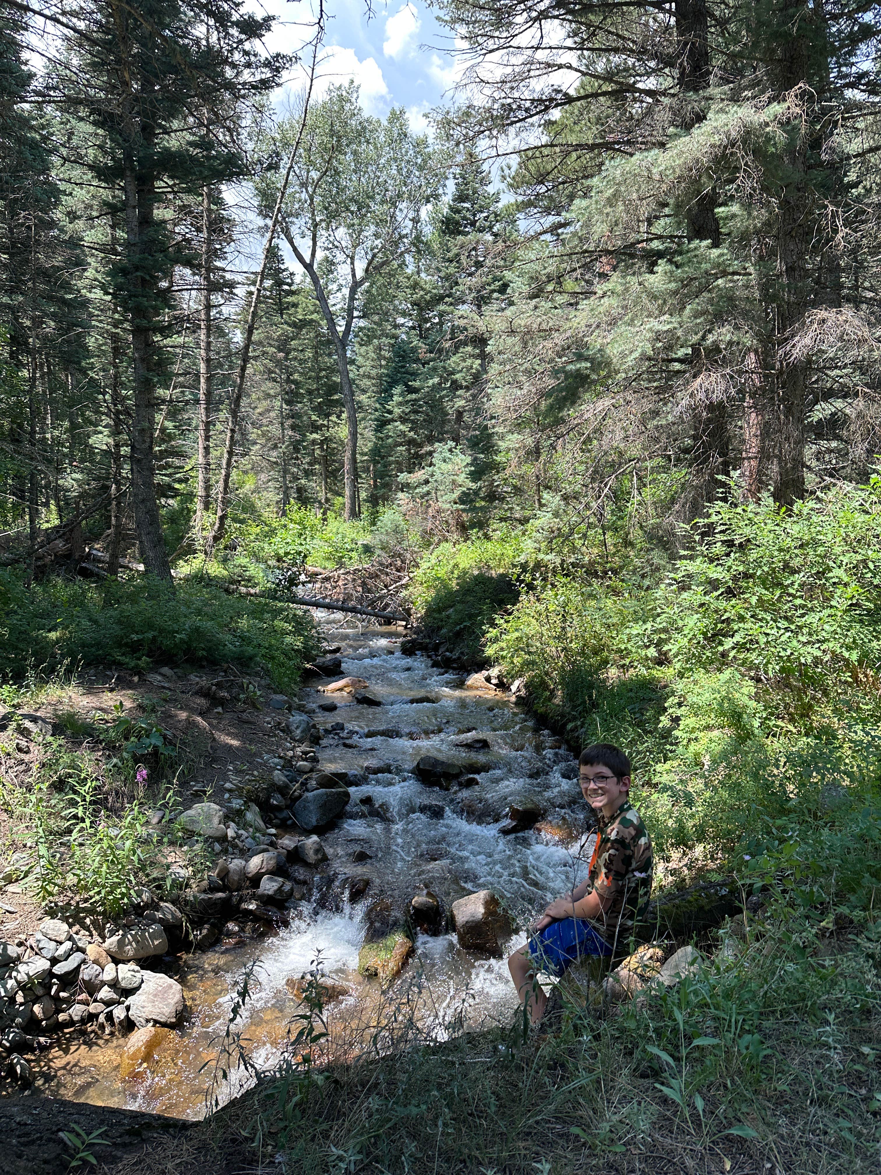 Camper submitted image from Hayden Creek Roadside Camp - 5