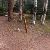 Review photo of Hayden Creek Roadside Camp by Kat B., July 5, 2026