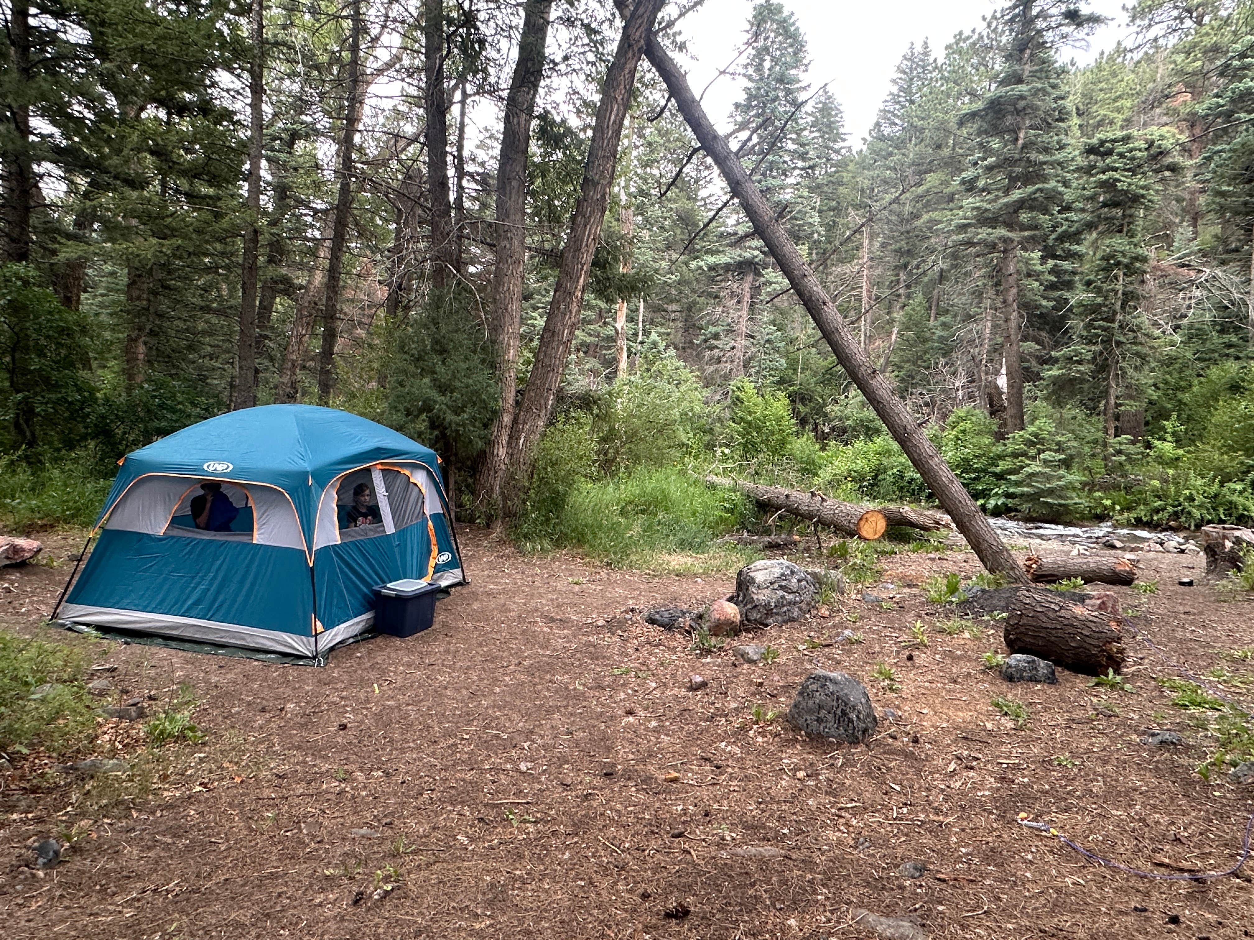 Camping near Bighorn Park: Hayden Creek Roadside Camp, Coaldale, Colorado