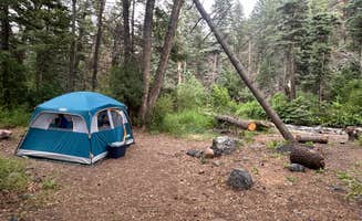 Nicole B.'s photo of a dispersed camping area at Hayden Creek Roadside Camp near Westcliffe, CO
