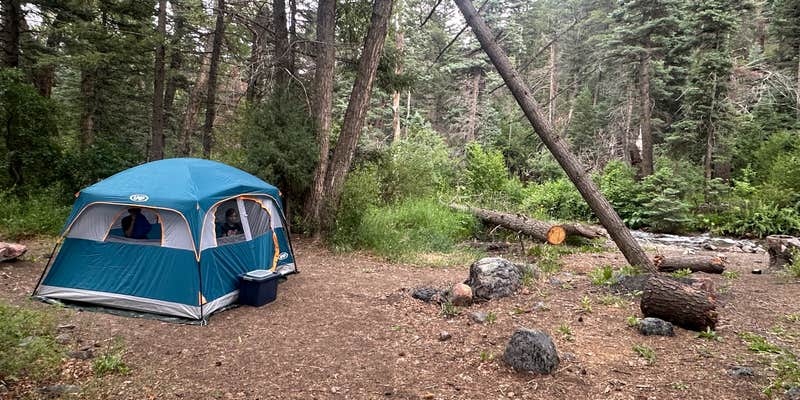 Camper submitted image from Hayden Creek Roadside Camp