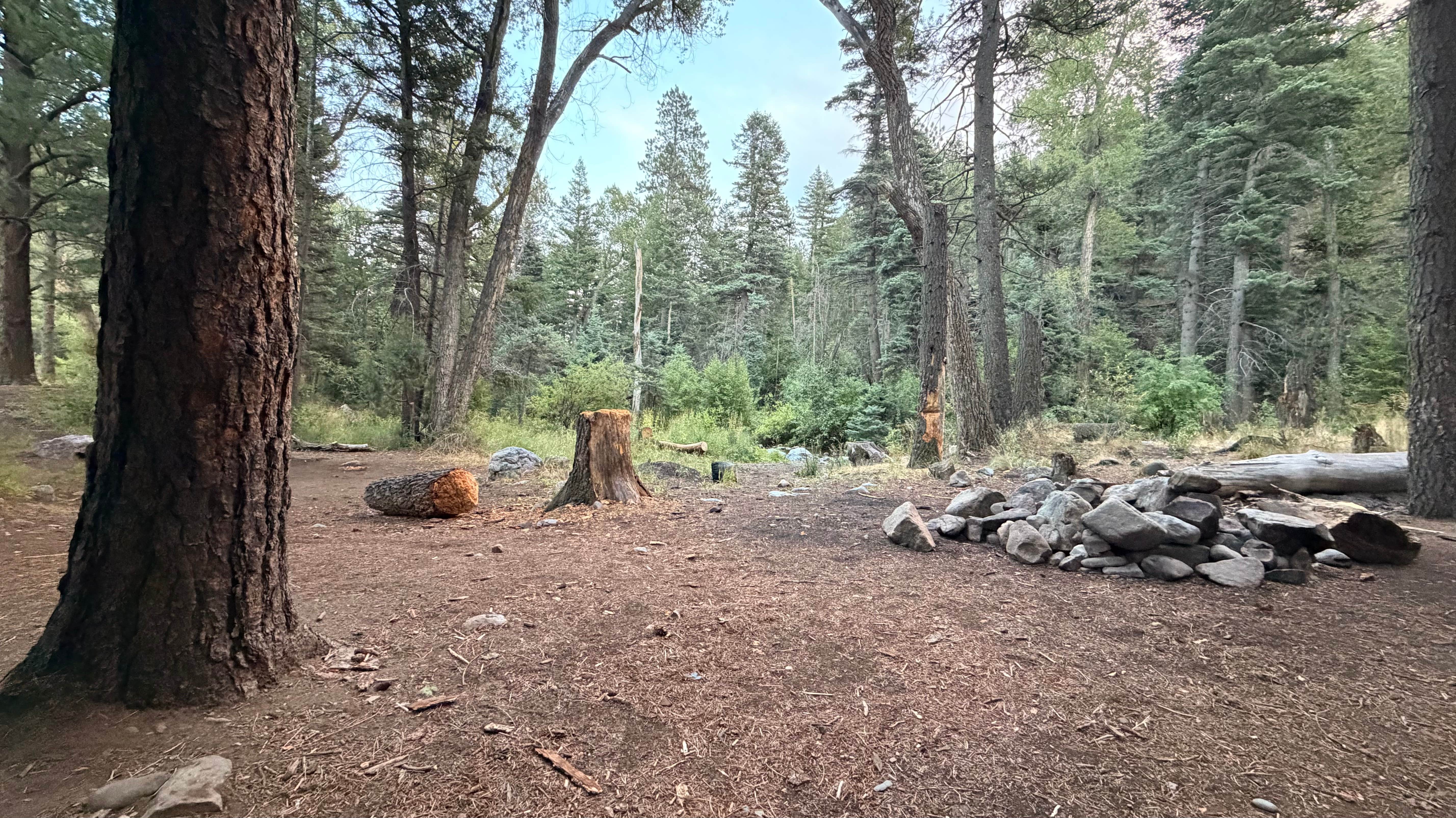 Camping near Cutty's Resort - Hayden Creek: Hayden Creek Roadside Camp, Coaldale, Colorado
