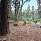 Review photo of Hayden Creek Roadside Camp by Steve F., August 8, 2026