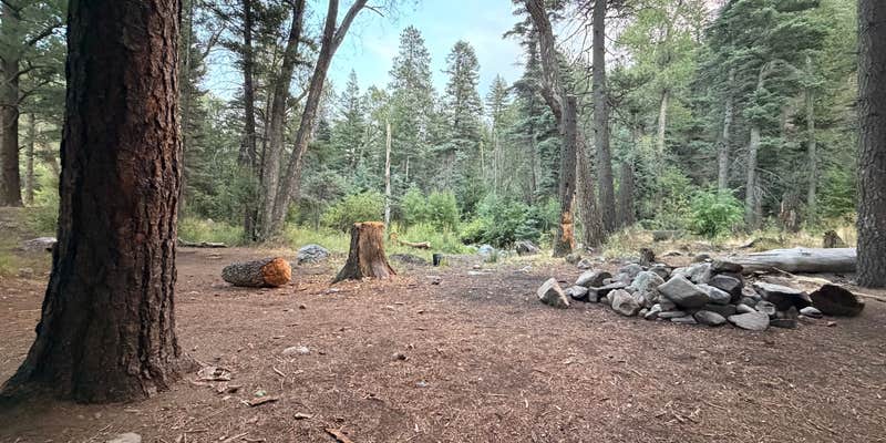 Camper submitted image from Hayden Creek Roadside Camp