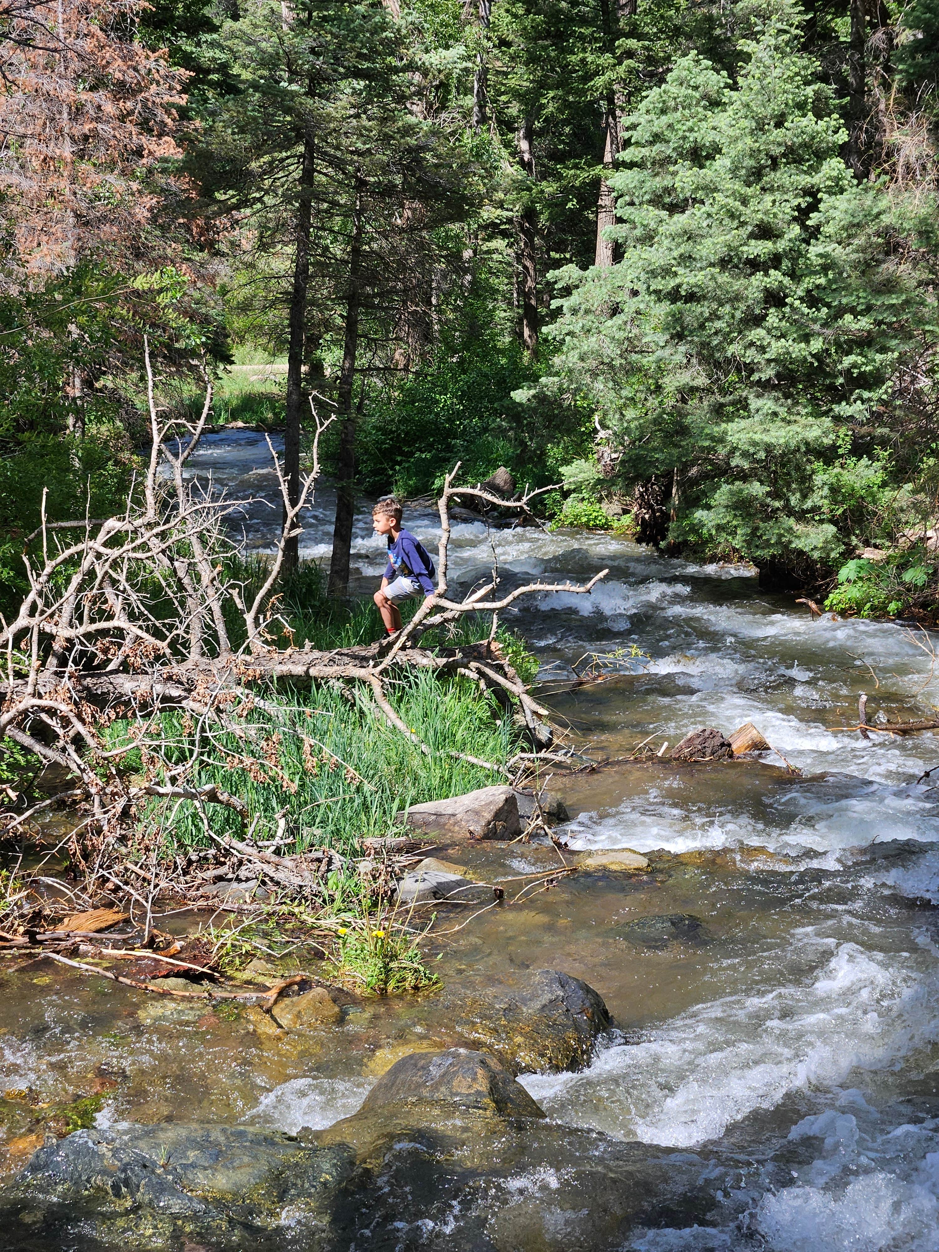 Camper-submitted photo at Hayden Creek Roadside Camp near Villa Grove, CO
