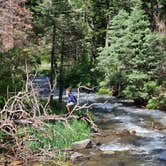 Review photo of Hayden Creek Roadside Camp by Kelly , June 13, 2024