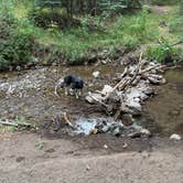 Review photo of Hayden Creek Roadside Camp by Kyli H., August 23, 2025