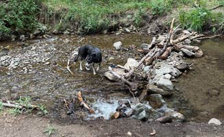 Kyli H.'s photo of camping with pets at Hayden Creek Roadside Camp near Howard, CO