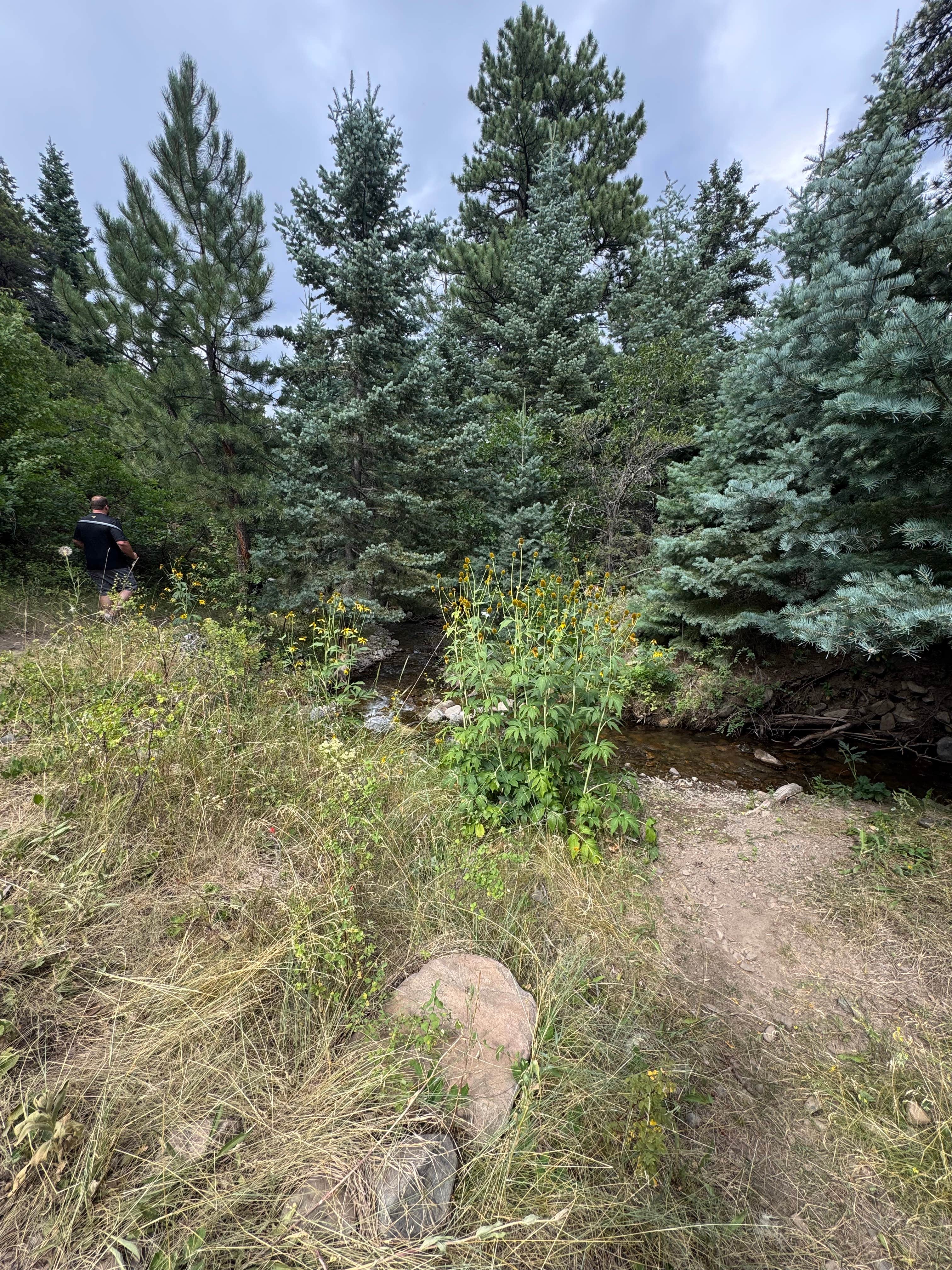 Camper-submitted photo at Hayden Creek Roadside Camp near Hillside, CO
