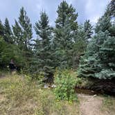 Review photo of Hayden Creek Roadside Camp by Kyli H., August 23, 2025
