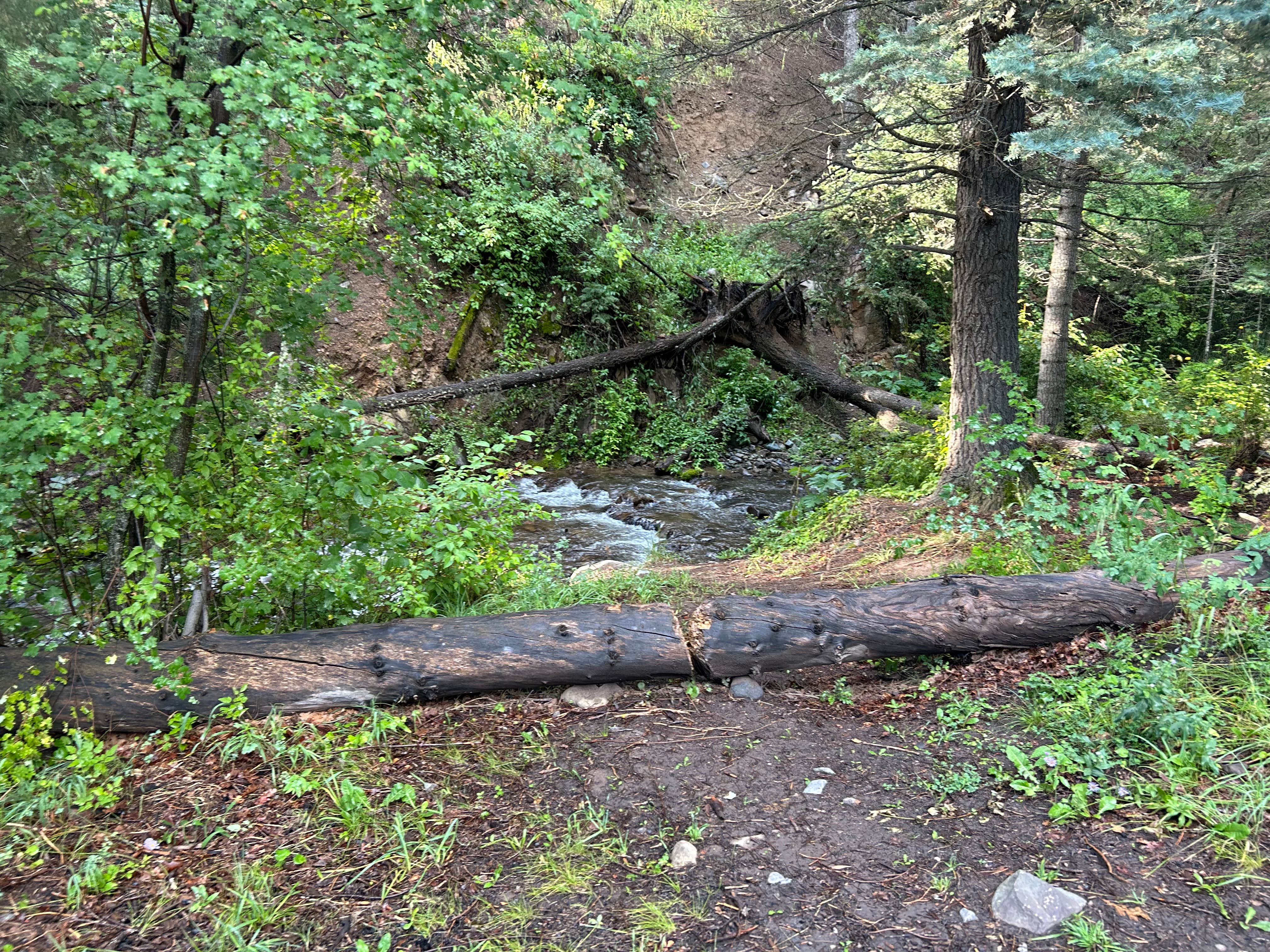 Camper-submitted photo at Hayden Creek Roadside Camp near Hillside, CO