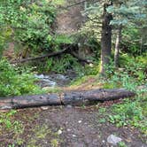 Review photo of Hayden Creek Roadside Camp by michelle H., August 26, 2024