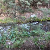 Review photo of Hayden Creek Roadside Camp by michelle H., August 26, 2024