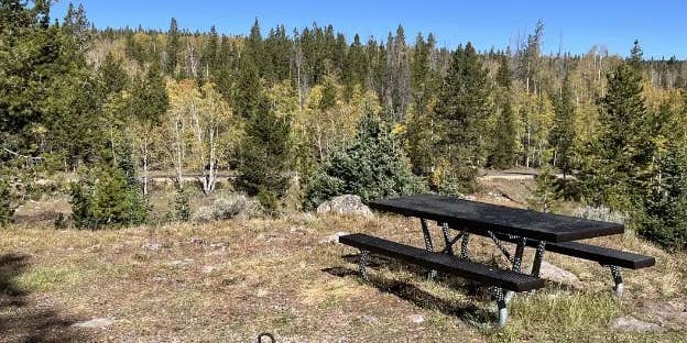 Camper submitted image from Hayden Fork Campground — Uinta Wasatch Cache National Forest