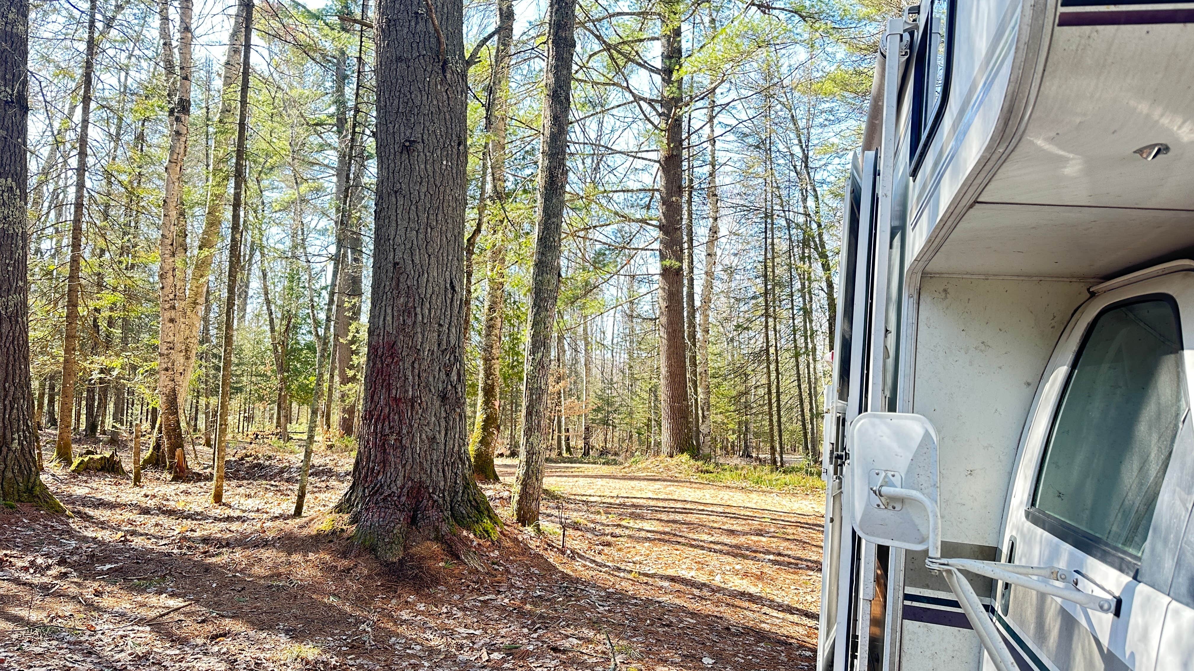 Camper-submitted photo at Haymeadow Creek NF Campground near Nahma, MI