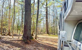 Nancy S.'s photo at Haymeadow Creek NF Campground near Nahma, MI